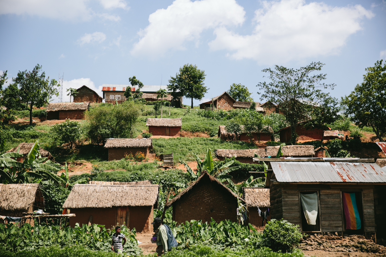 justice rising, the democratic republic of congo